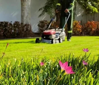 Garden-Maintenance-Services-Dubai-500x500